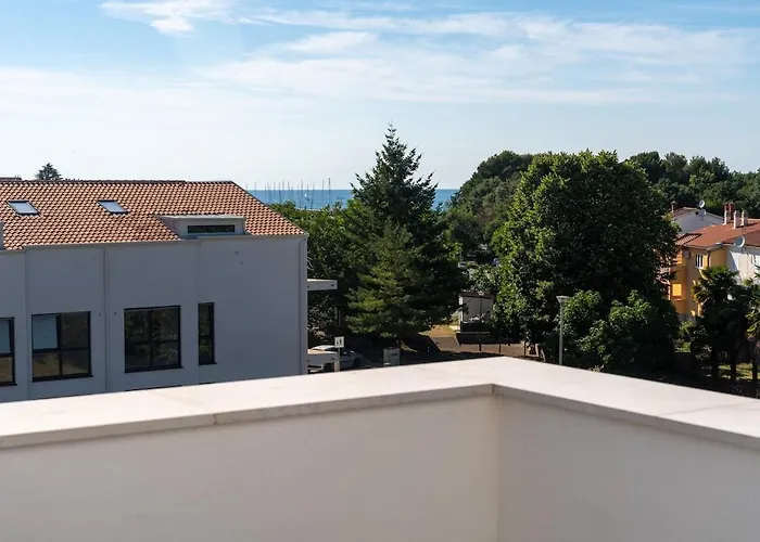 Villa Ampla With Heated Wellness Pool Near Porec